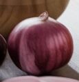 Pstreasures